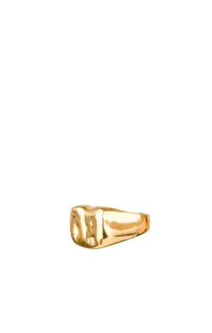 Lava Signet Ring